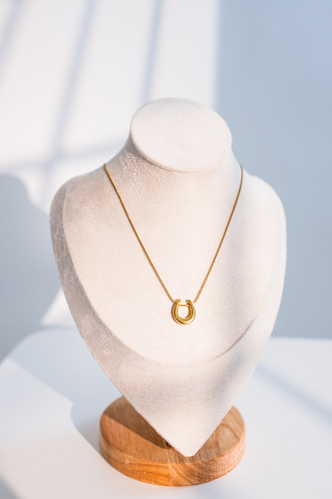 Horseshoe Necklace