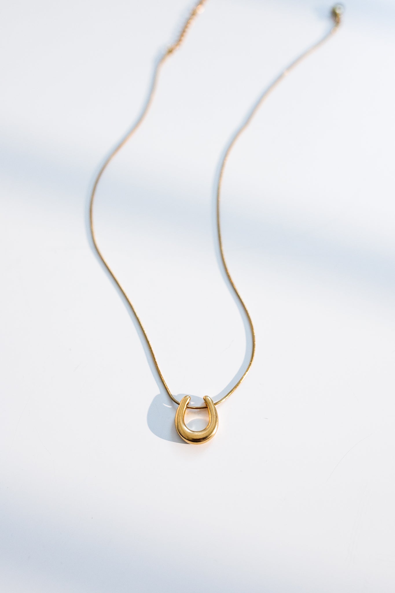 Horseshoe Necklace