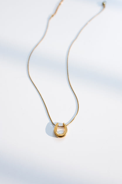 Horseshoe Necklace