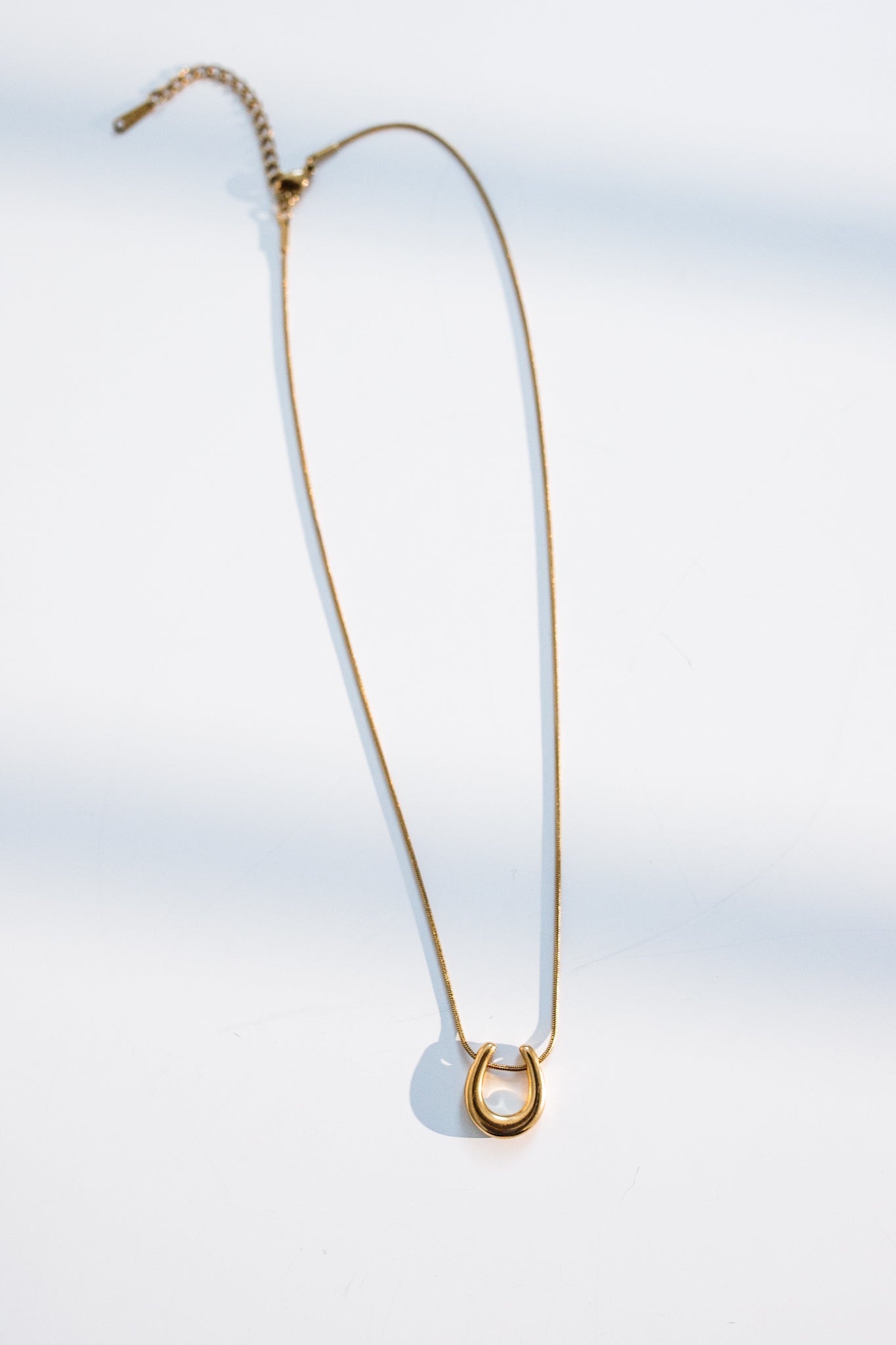 Horseshoe Necklace