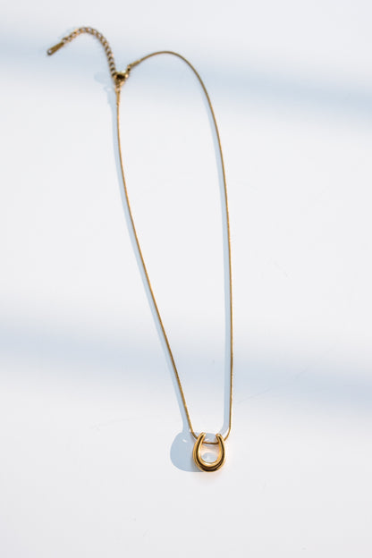 Horseshoe Necklace